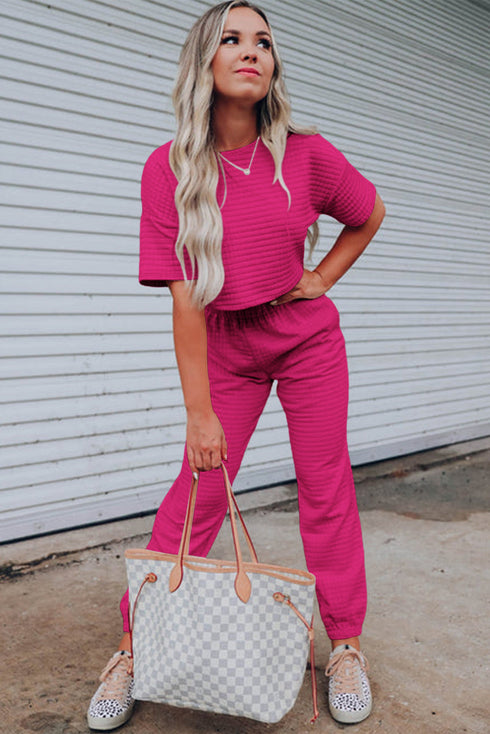 Lattice Textured Cropped Tee and Jogger Pants Set